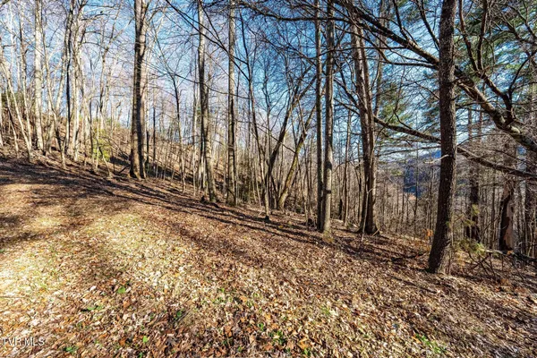 $199,900 | Tbd Lonesome Pine Trail, Unit 23B, Butler, TN 37640