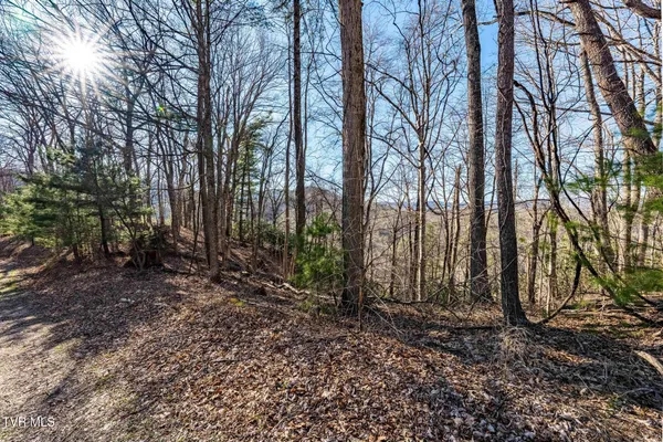 $199,900 | Tbd Lonesome Pine Trail, Unit 23B, Butler, TN 37640