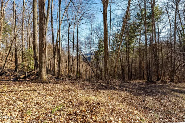 $199,900 | Tbd Lonesome Pine Trail, Unit 23B, Butler, TN 37640