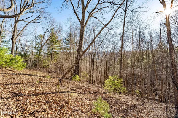 $199,900 | Tbd Lonesome Pine Trail, Unit 23B, Butler, TN 37640