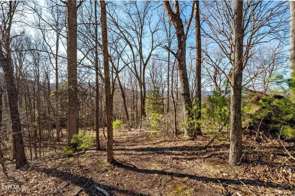 $199,900 | Tbd Lonesome Pine Trail, Unit 23B, Butler, TN 37640