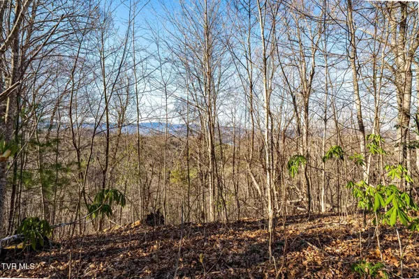 $199,900 | Tbd Lonesome Pine Trail, Unit 23B, Butler, TN 37640