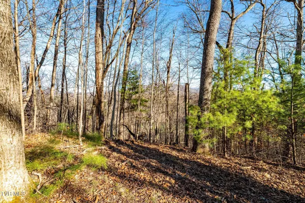 $199,900 | Tbd Lonesome Pine Trail, Unit 23B, Butler, TN 37640