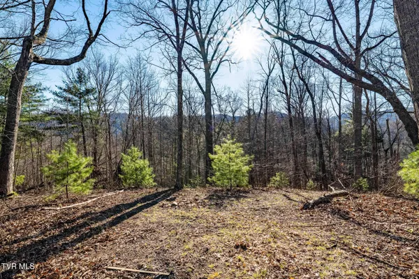 $199,900 | Tbd Lonesome Pine Trail, Unit 23B, Butler, TN 37640