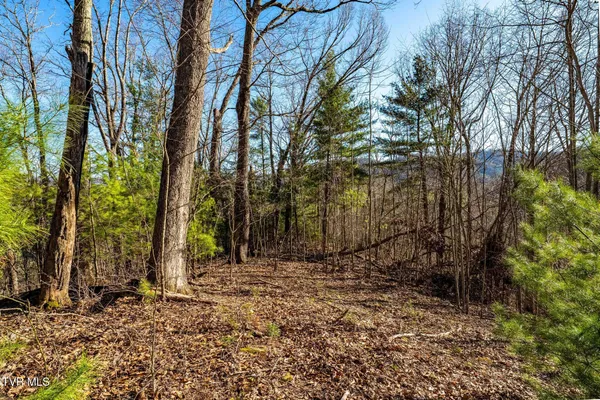 $199,900 | Tbd Lonesome Pine Trail, Unit 23B, Butler, TN 37640