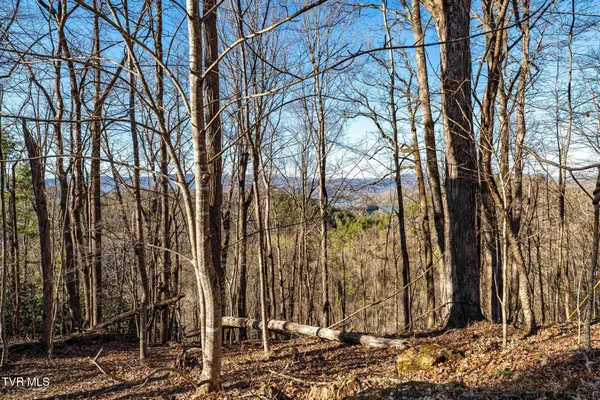 $199,900 | Tbd Lonesome Pine Trail, Unit 23B, Butler, TN 37640