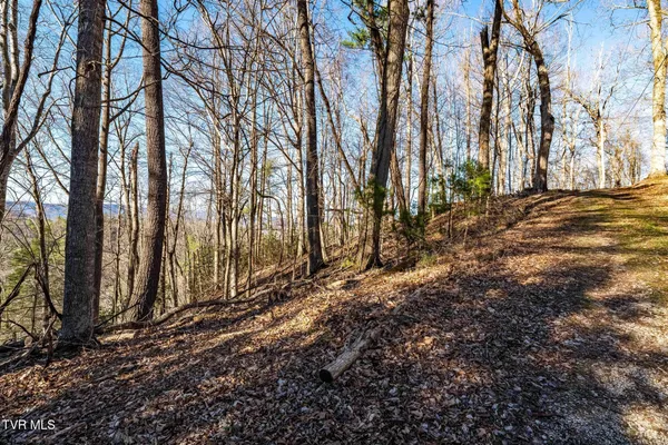 $199,900 | Tbd Lonesome Pine Trail, Unit 23B, Butler, TN 37640