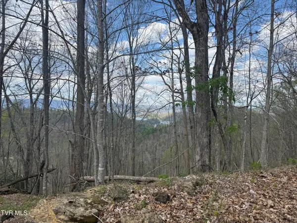 $199,900 | Tbd Lonesome Pine Trail, Unit 23B, Butler, TN 37640