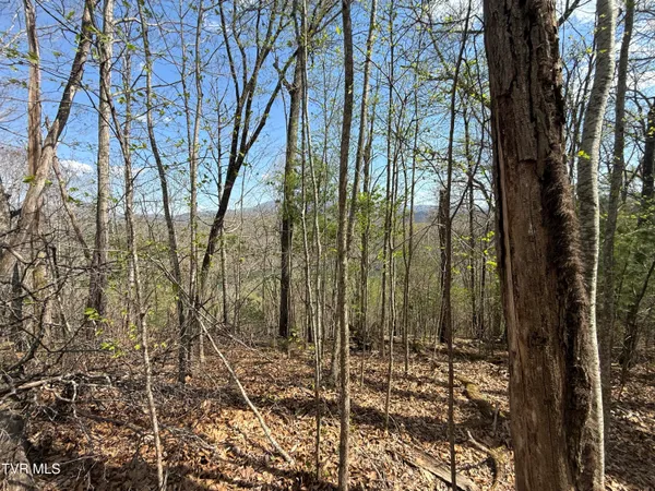 $199,900 | Tbd Lonesome Pine Trail, Unit 23B, Butler, TN 37640