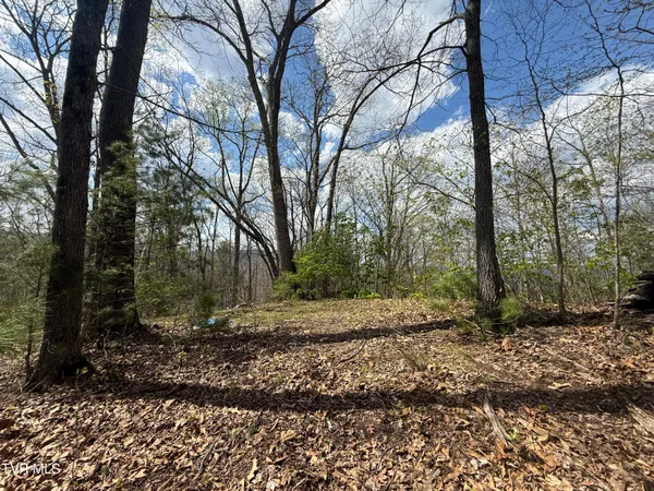 $199,900 | Tbd Lonesome Pine Trail, Unit 23B, Butler, TN 37640