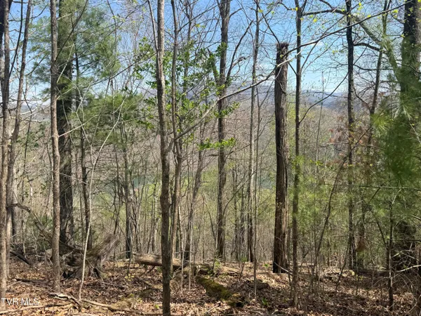 $199,900 | Tbd Lonesome Pine Trail, Unit 23B, Butler, TN 37640