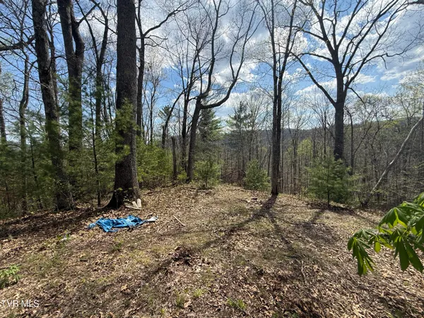 $199,900 | Tbd Lonesome Pine Trail, Unit 23B, Butler, TN 37640