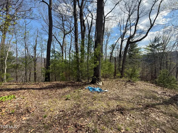 $199,900 | Tbd Lonesome Pine Trail, Unit 23B, Butler, TN 37640