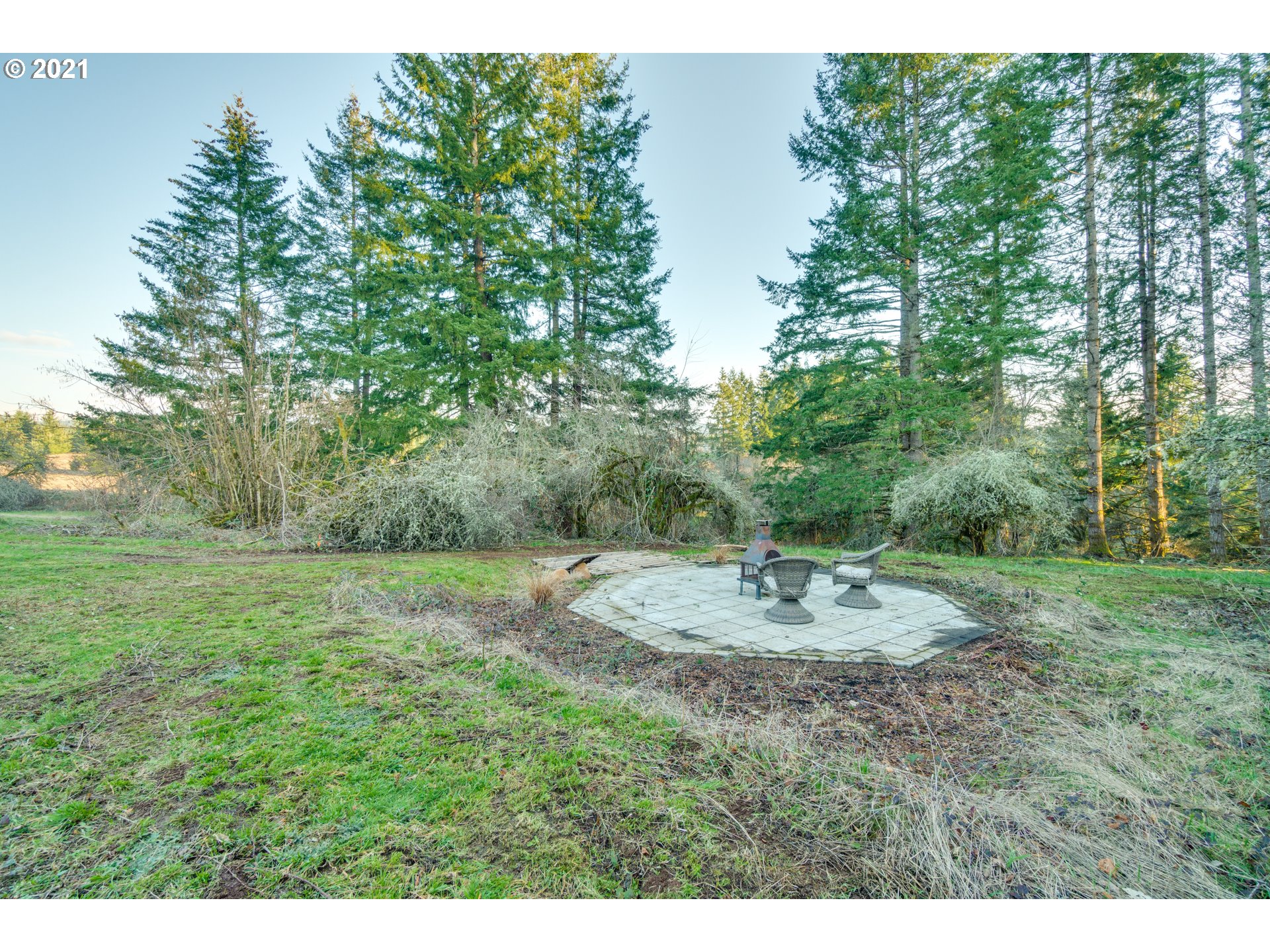 22422 South Schieffer Road Colton, OR 97017 - Photo 18 of 32 a view of outdoor space with trees all around