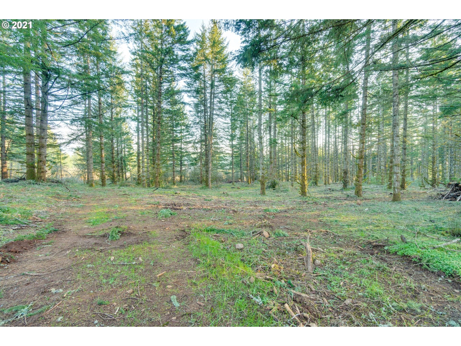 22422 South Schieffer Road Colton, OR 97017 - Photo 32 of 32 a view of outdoor space with green field and trees