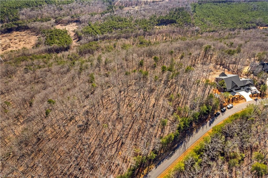 1026 Sierra Trace Road Denton, NC 27239 - Photo 17 of 28