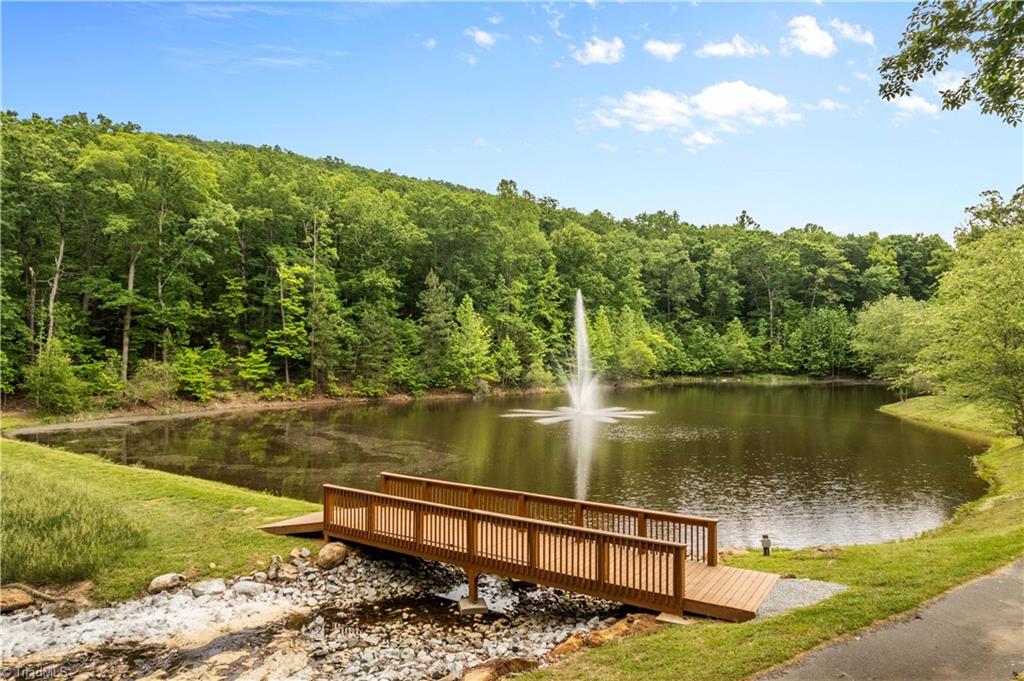 1026 Sierra Trace Road Denton, NC 27239 - Photo 19 of 28 Fountain and walking trails