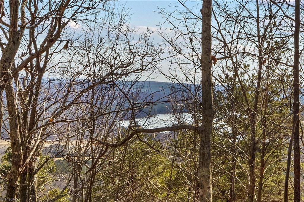 1026 Sierra Trace Road Denton, NC 27239 - Photo 2 of 28