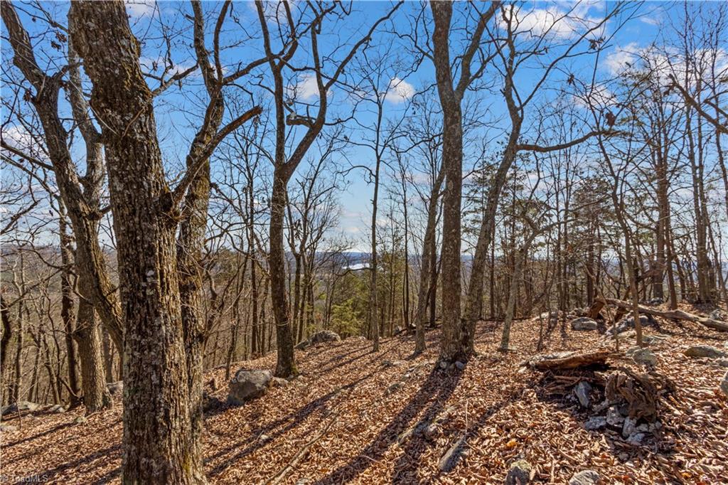 1026 Sierra Trace Road Denton, NC 27239 - Photo 3 of 28