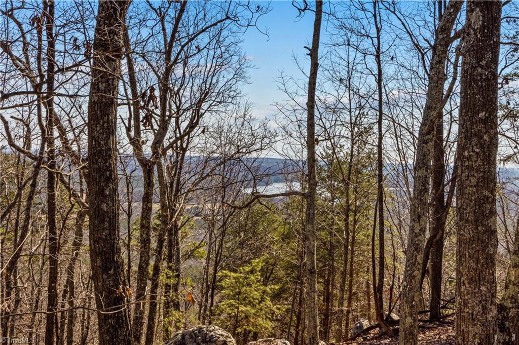 1026 Sierra Trace Road Denton, NC 27239 - Photo 4 of 28