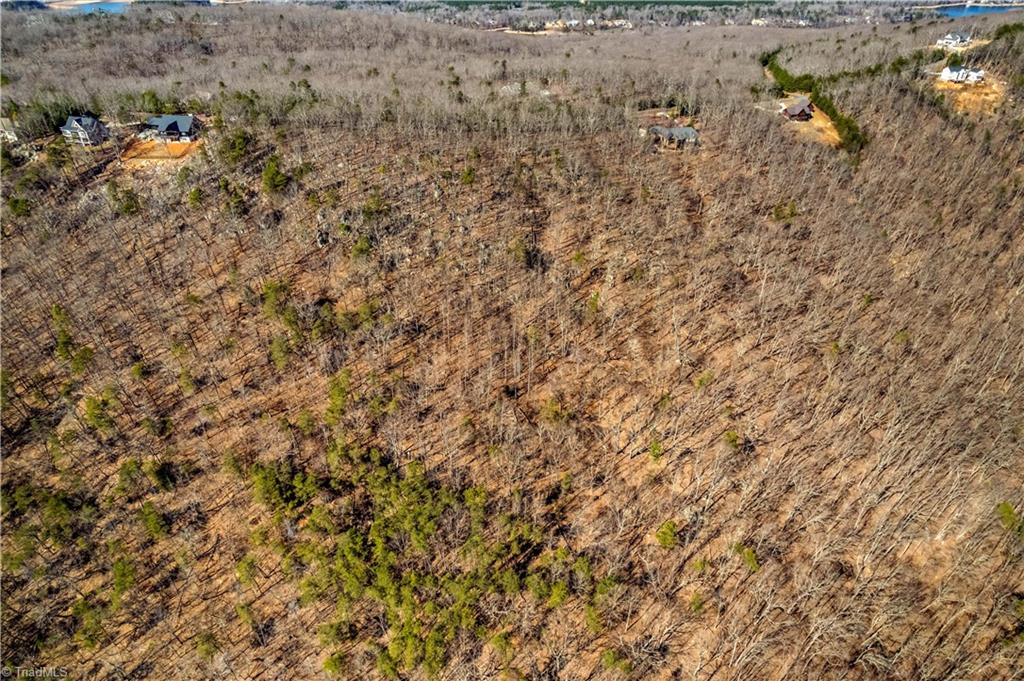 1026 Sierra Trace Road Denton, NC 27239 - Photo 8 of 28