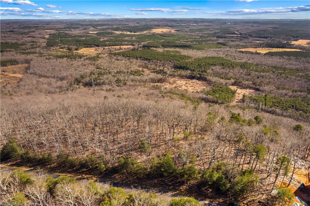 1026 Sierra Trace Road Denton, NC 27239 - Photo 10 of 28