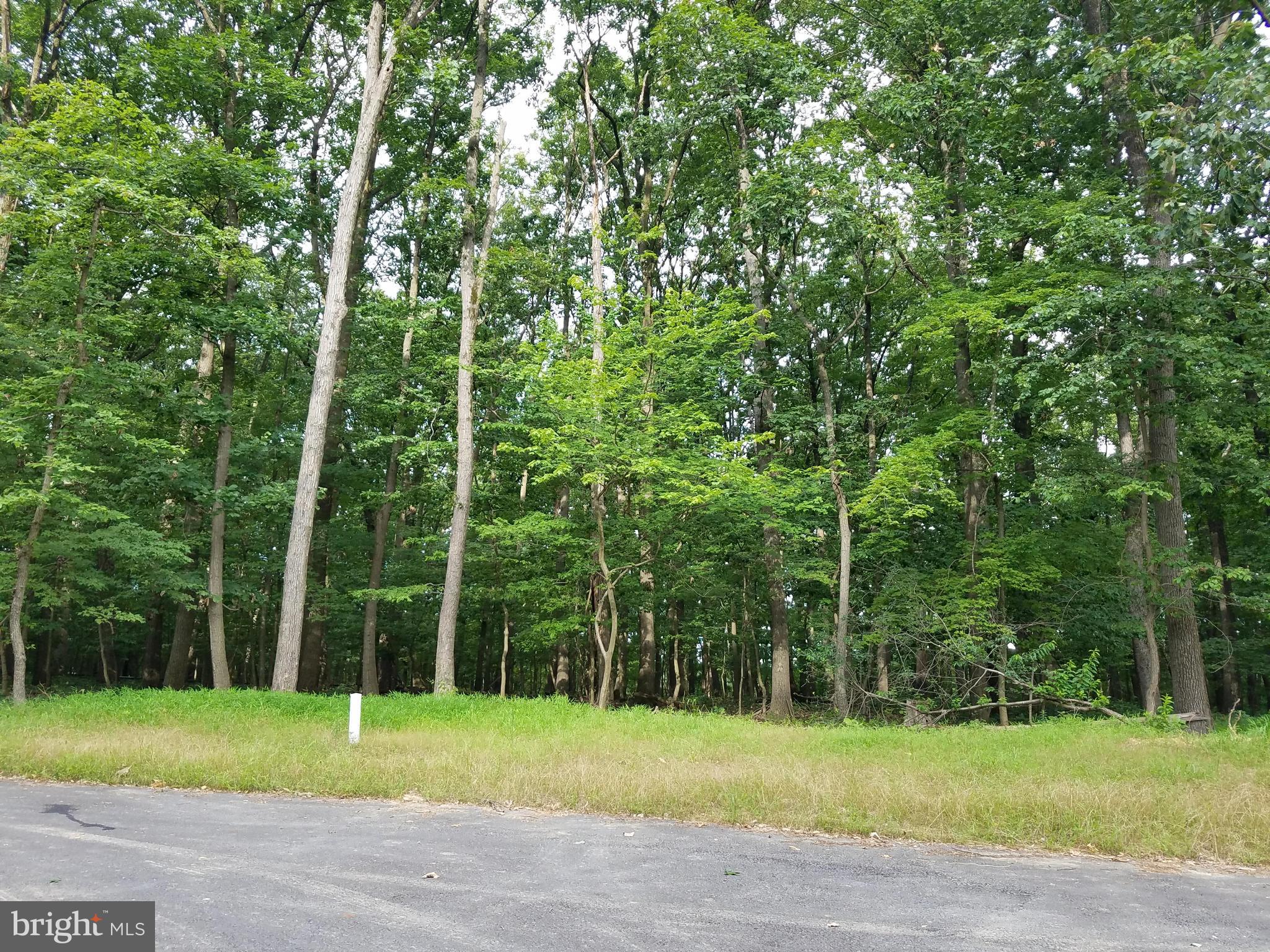 1608 Florence Road Mount Airy, MD 21771 - Photo 1 of 8 a view of a yard with a trees in the background
