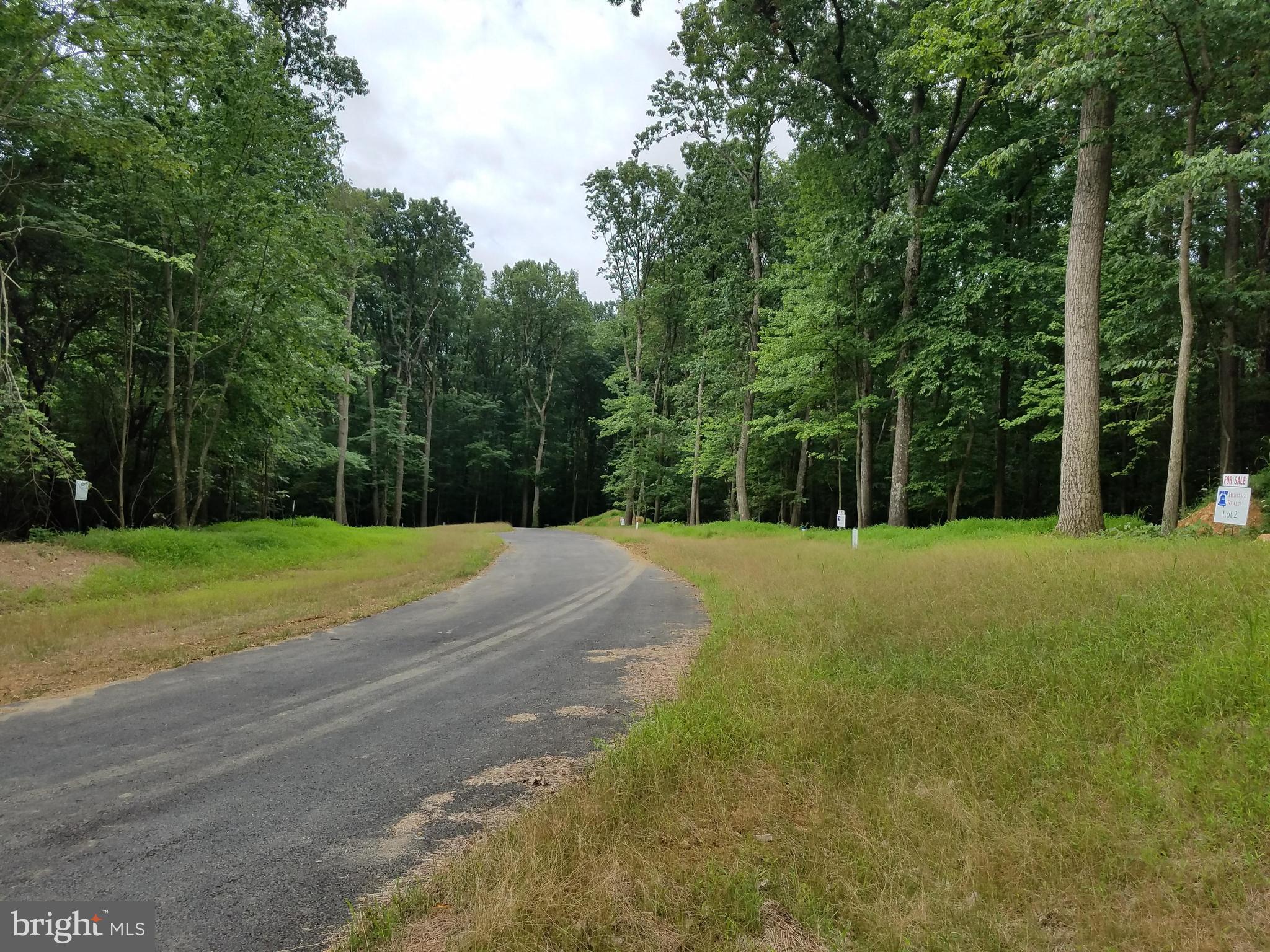 1608 Florence Road Mount Airy, MD 21771 - Photo 4 of 8 a view of a yard with large trees