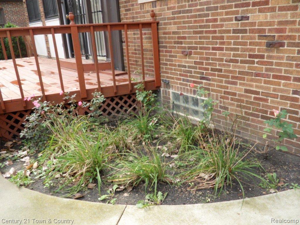 19630 Roslyn Road Detroit, MI 48221 - Photo 21 of 25 Flower bed 1