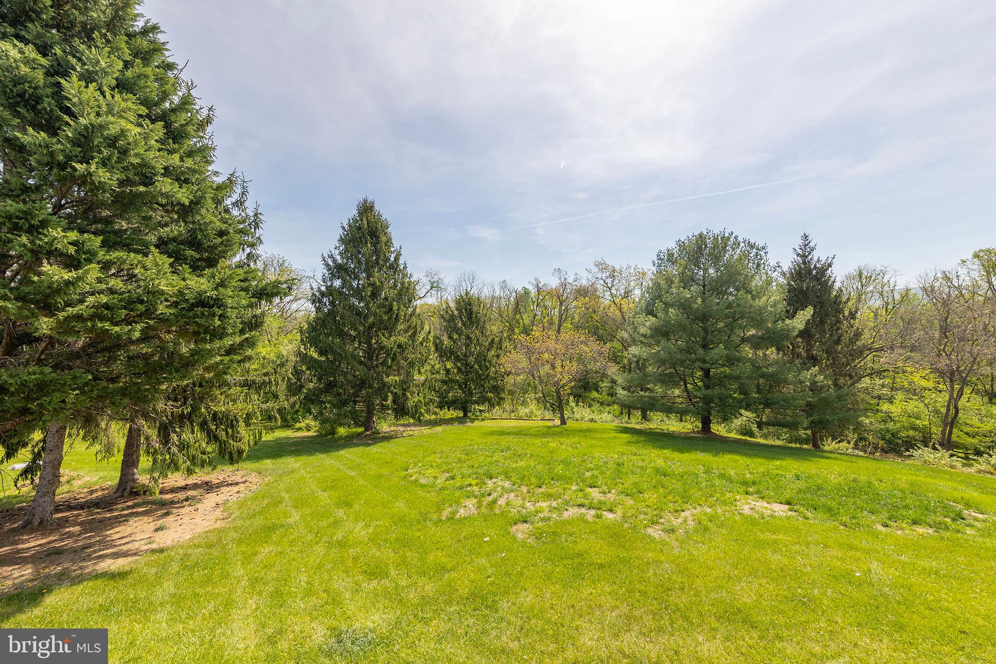 405 Spring Hollow Road Woodstock, VA 22664 - Photo 82 of 98 Back yard view