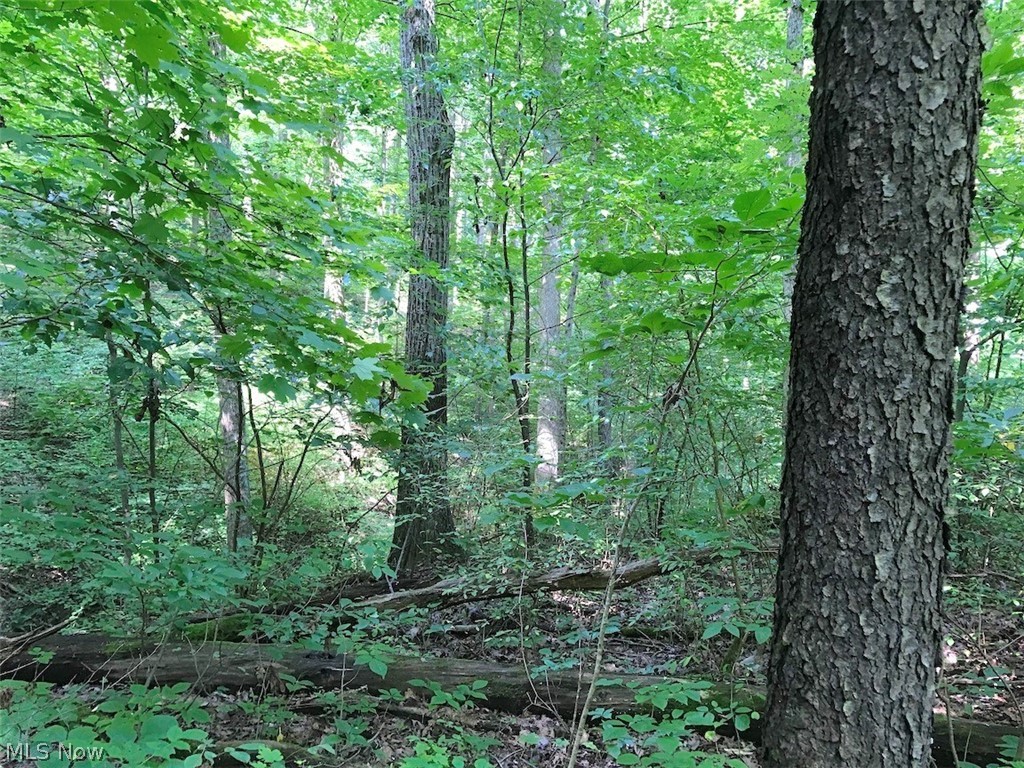 West Boyd Hall Road Piedmont, OH 43983 - Photo 10 of 35 Gallery Image 10