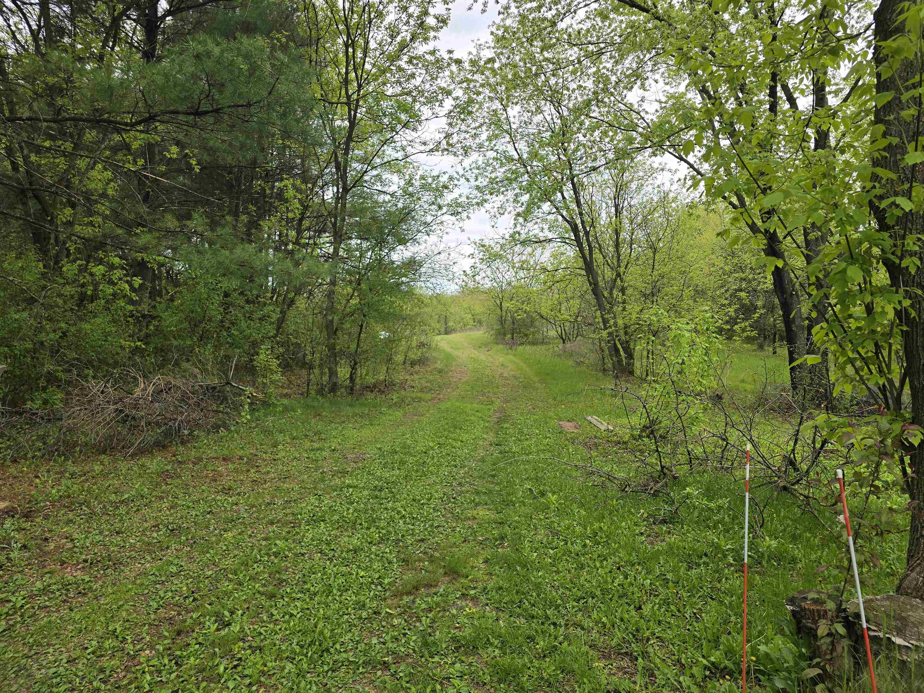 625 Semrow Road Coloma, WI 54930 - Photo 29 of 32