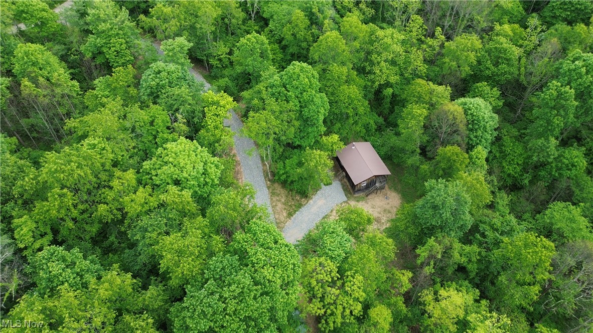 34215 Mt Hope Ridge Road Graysville, OH 45734 - Photo 4 of 50 Drone / aerial view of a forest