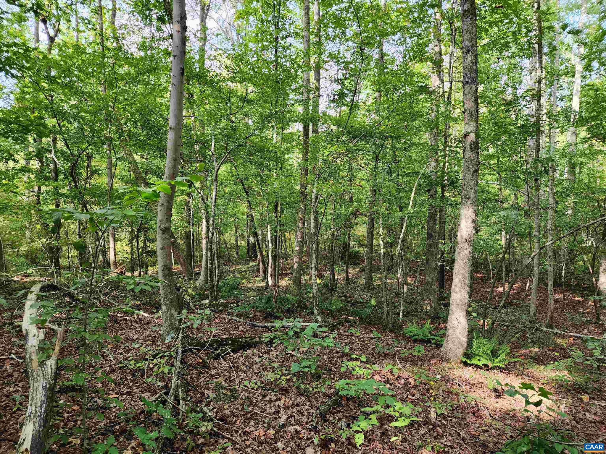 Lot 3 Walnut Shade Road Louisa, VA 23093 - Photo 11 of 12 Gallery Image 11
