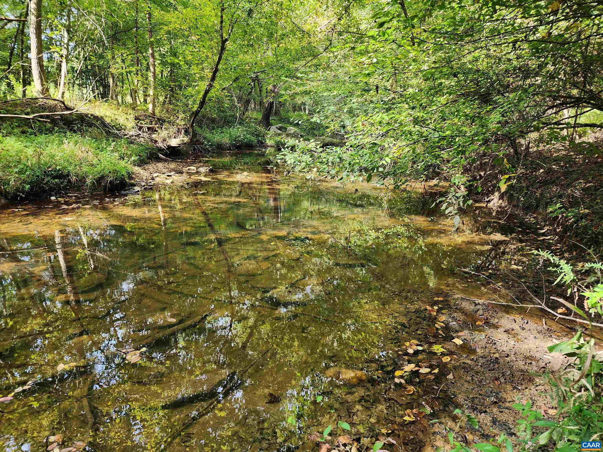 Lot 3 Walnut Shade Road Louisa, VA 23093 - Photo 3 of 12 Gallery Image 3