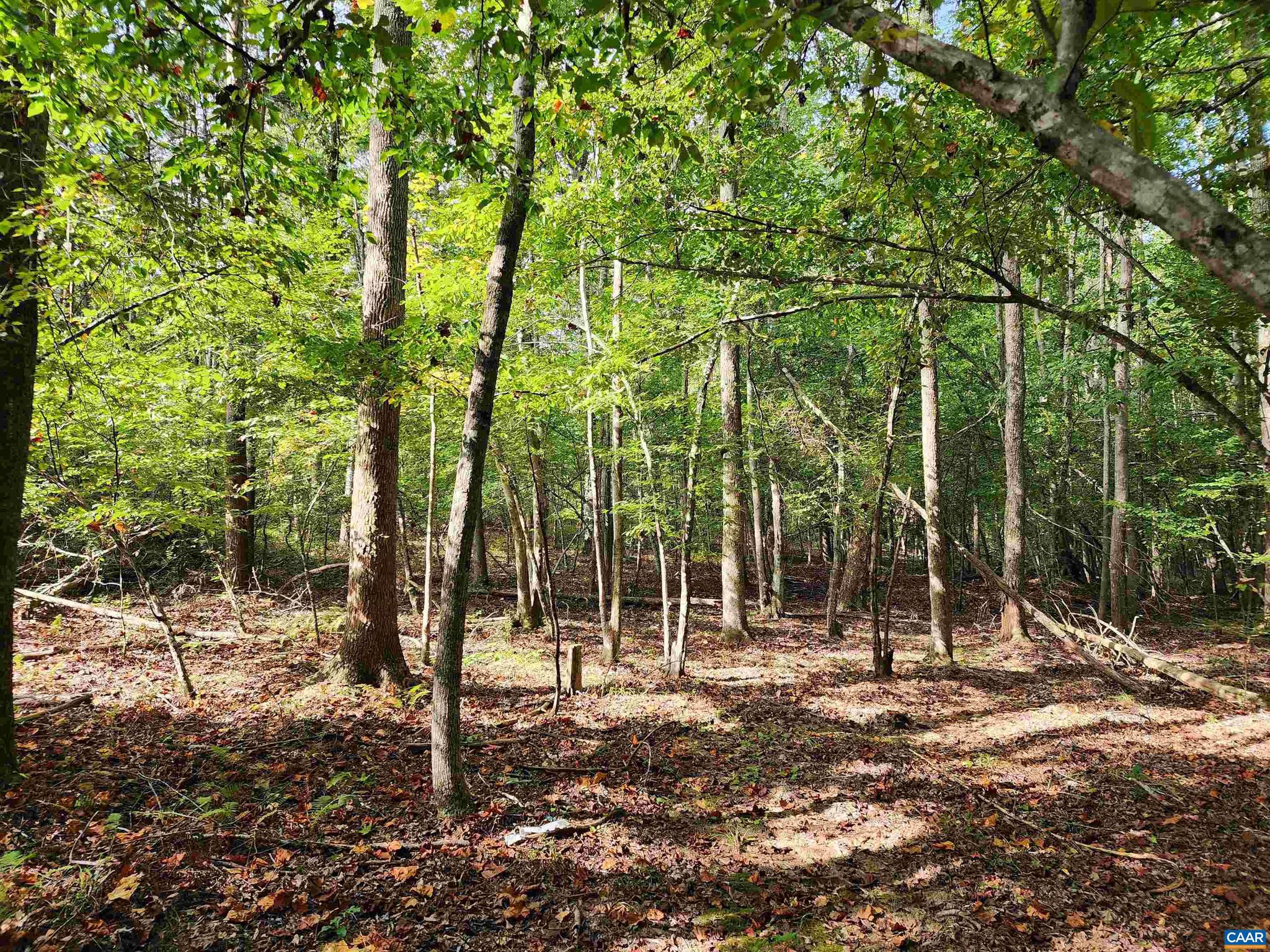 Lot 3 Walnut Shade Road Louisa, VA 23093 - Photo 4 of 12 Gallery Image 4