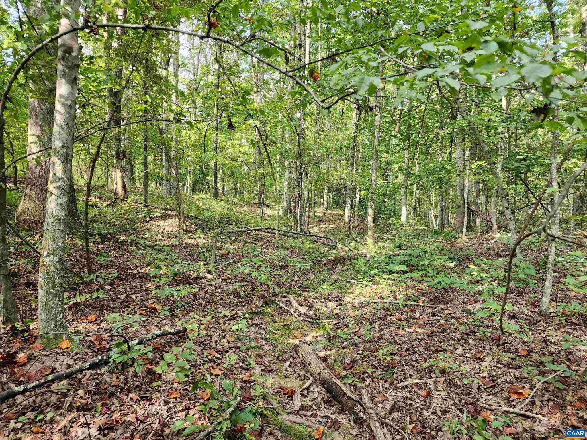 Lot 3 Walnut Shade Road Louisa, VA 23093 - Photo 8 of 12 Gallery Image 8