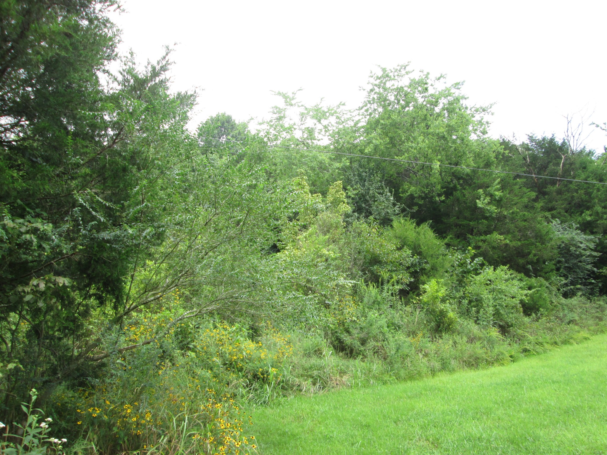 0 Harris Hollow Road Pleasant Shade, TN 37145 - Photo 1 of 3 Gallery Image 1