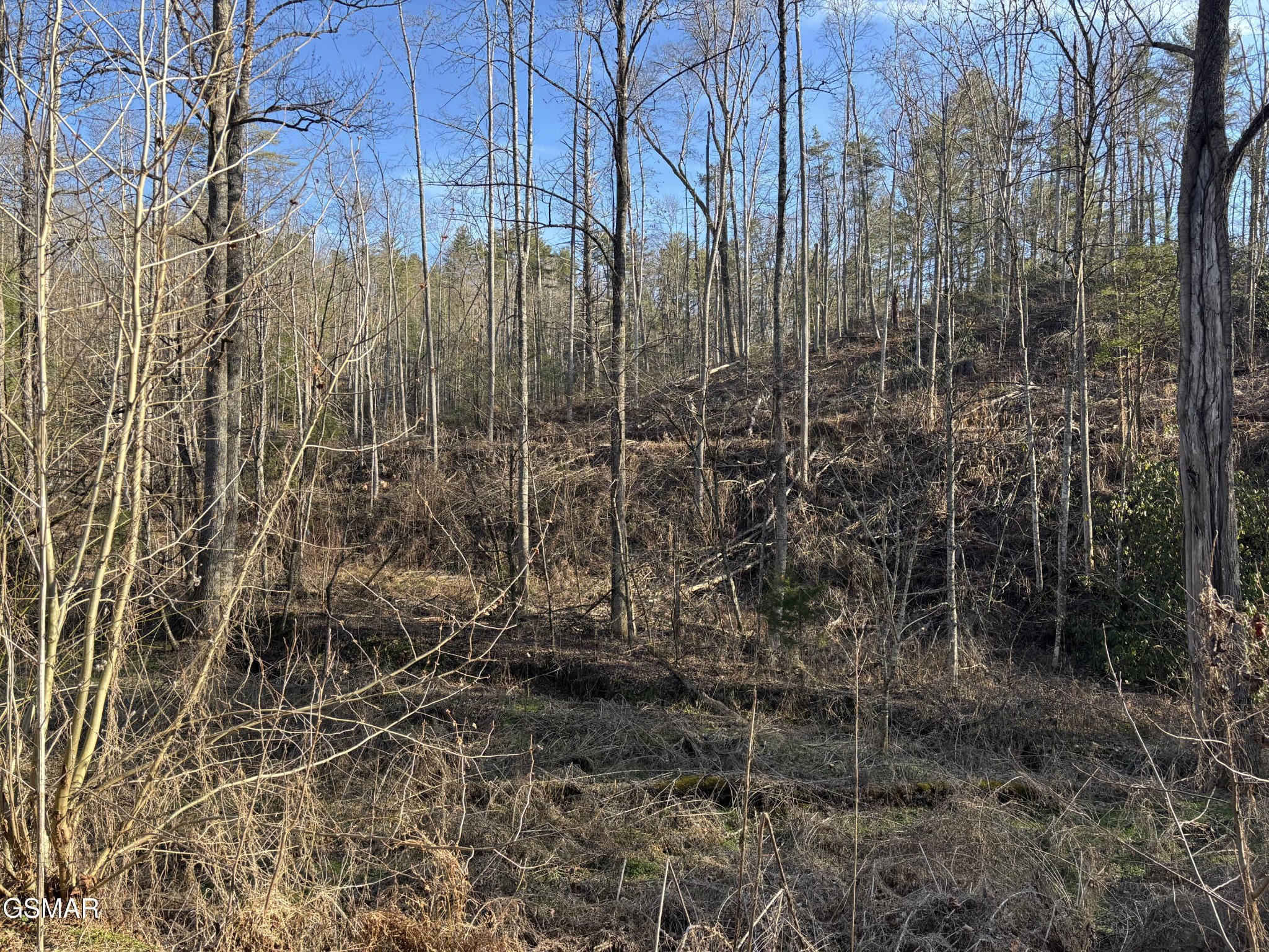 1 Bull Mountain Road Del Rio, TN 37727 - Photo 4 of 13 Gallery Image 4
