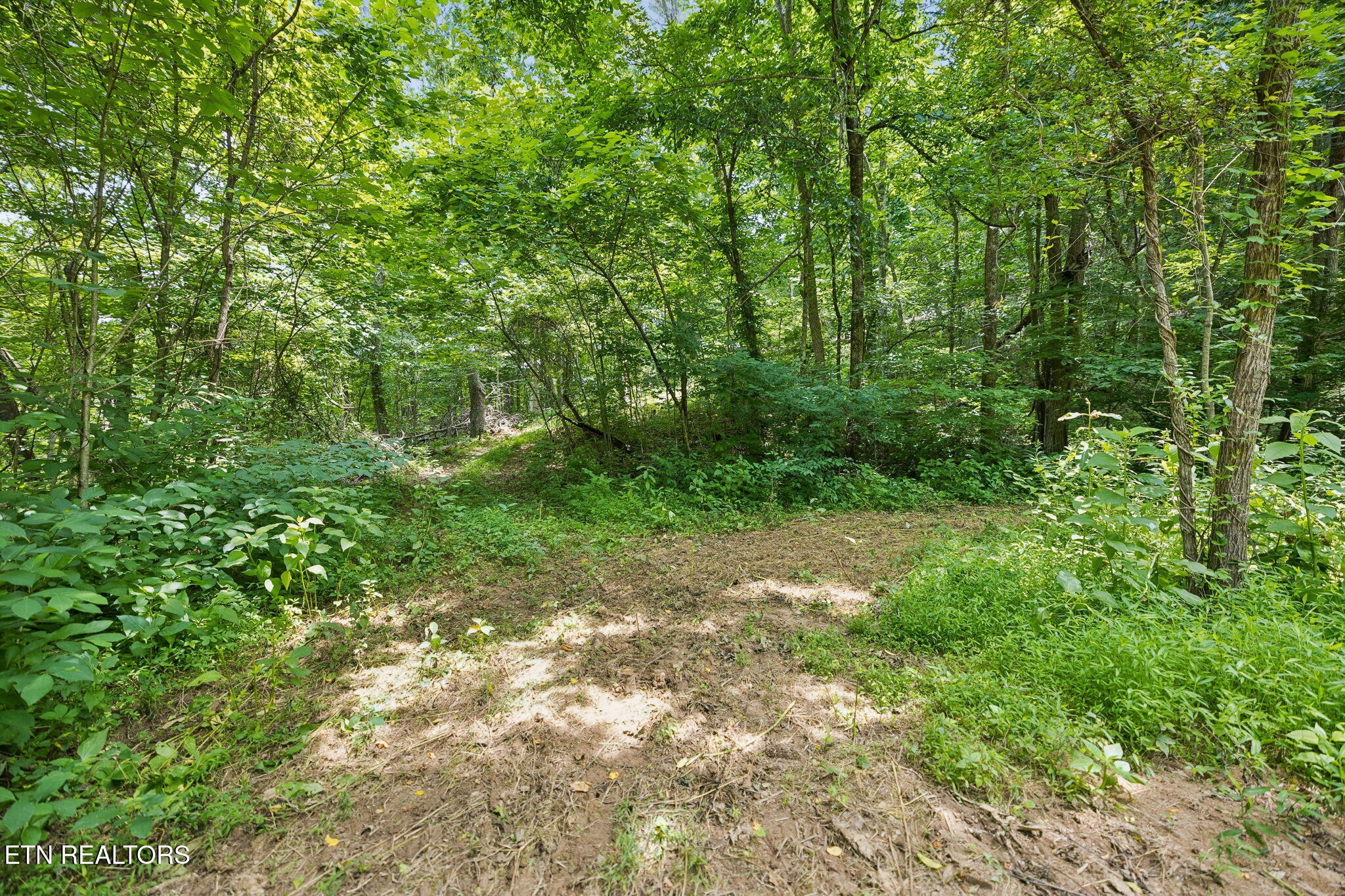 0 Knob Road Rutledge, TN 37861 - Photo 10 of 46