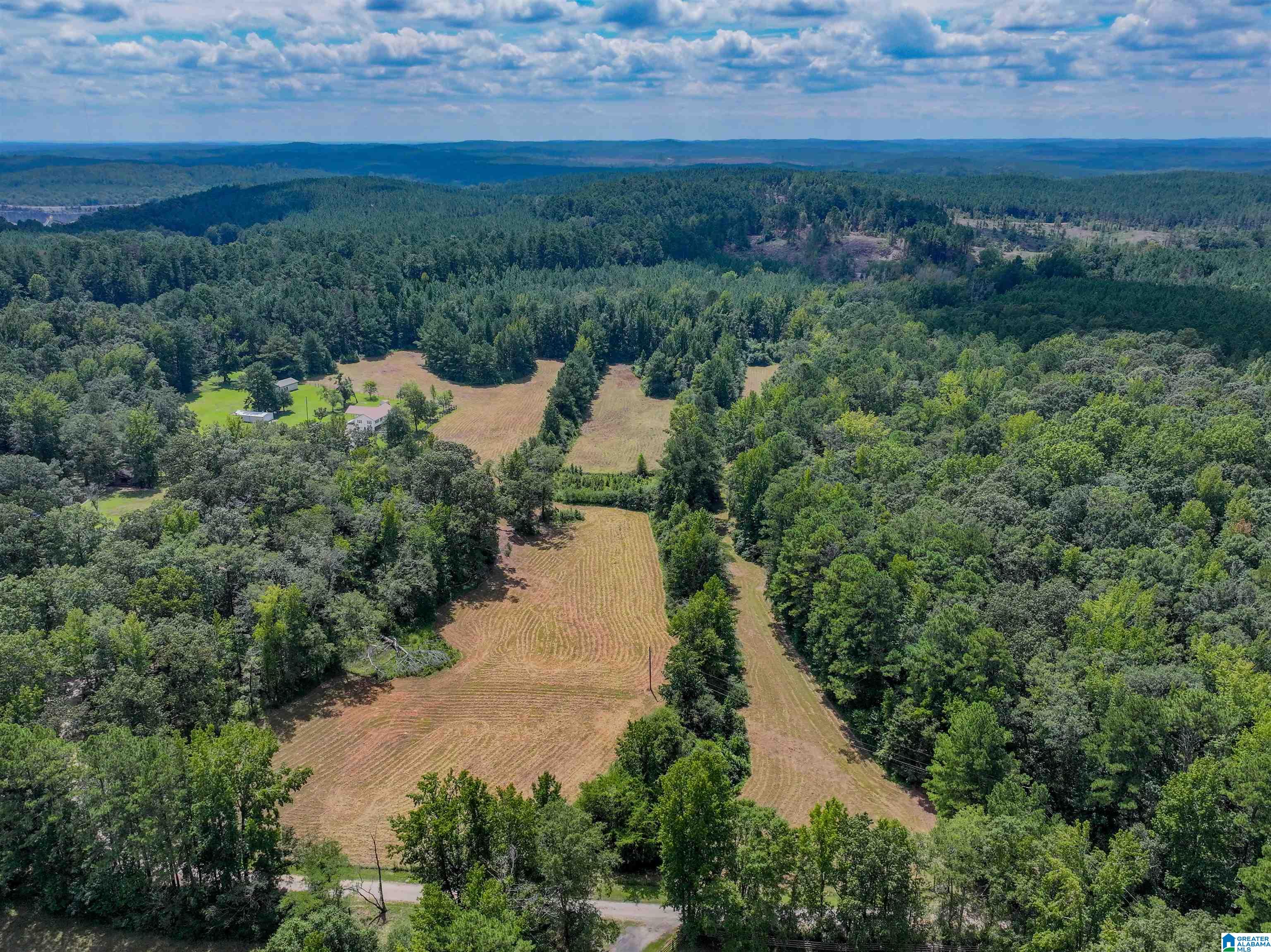 11643 Carter Road Vance, AL 35490 - Photo 1 of 10