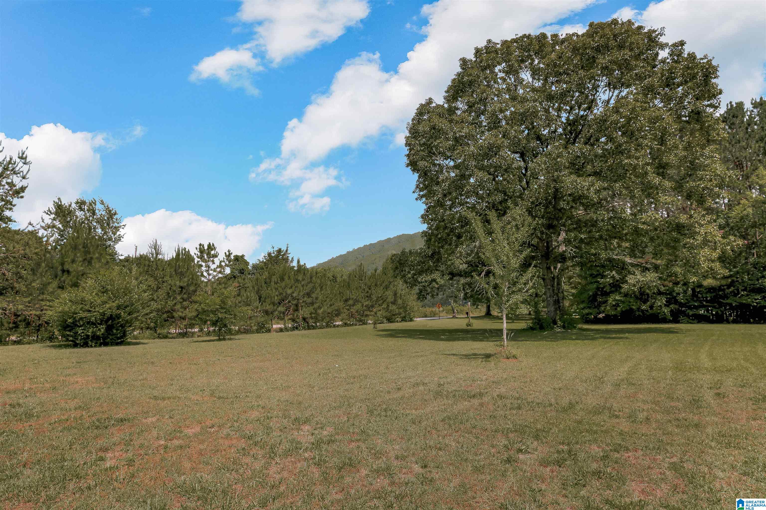 8495 Clayton Cove Road Springville, AL 35146 - Photo 23 of 37