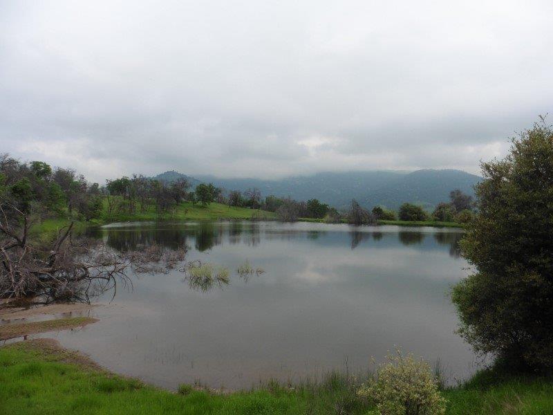 29415 Seminole Road Tollhouse, CA 93667 - Photo 15 of 18 Gallery Image 15
