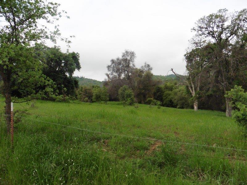 29415 Seminole Road Tollhouse, CA 93667 - Photo 4 of 18 Gallery Image 4