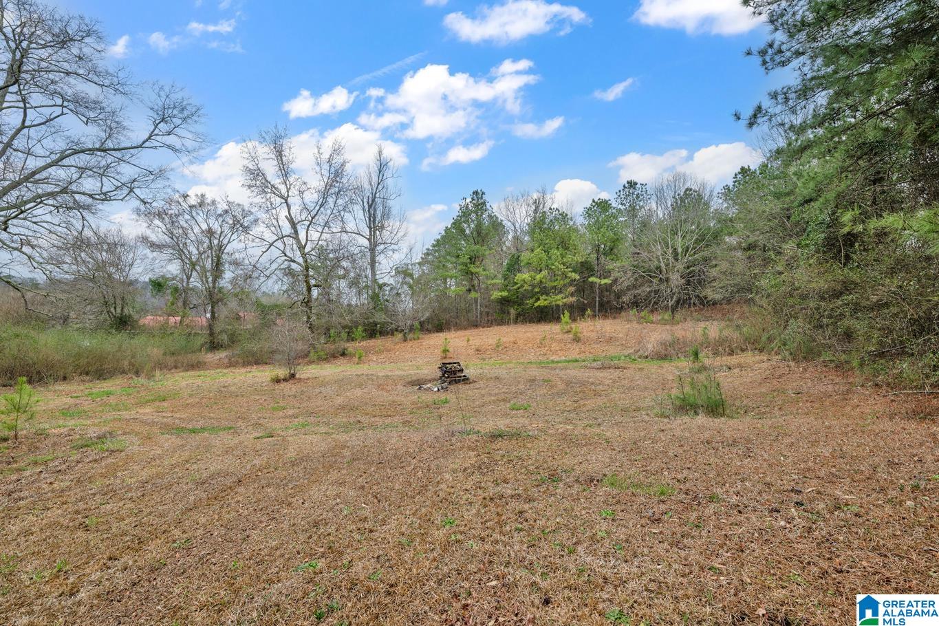 44 Bangor Hollow Road Hayden, AL 35079 - Photo 4 of 12
