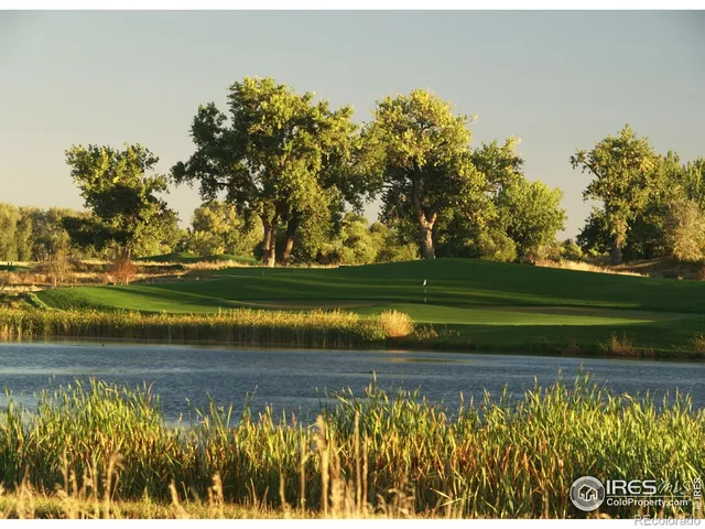 a view of a lake from a yard