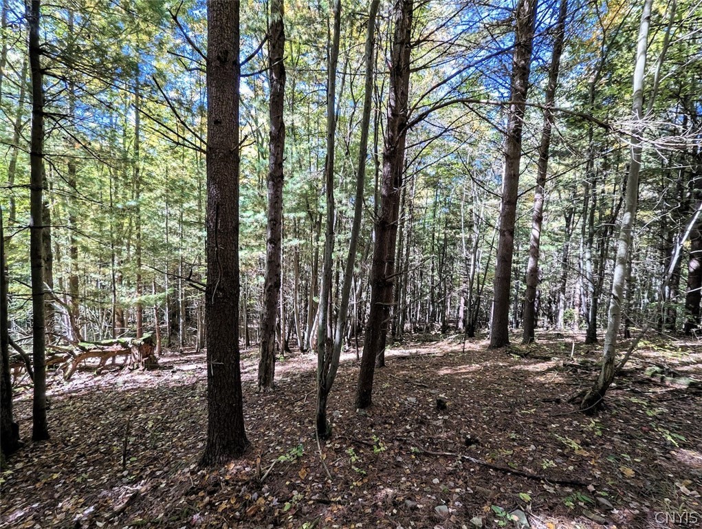 70 A County Road Hornell, NY 14843 - Photo 28 of 37 Gallery Image 28