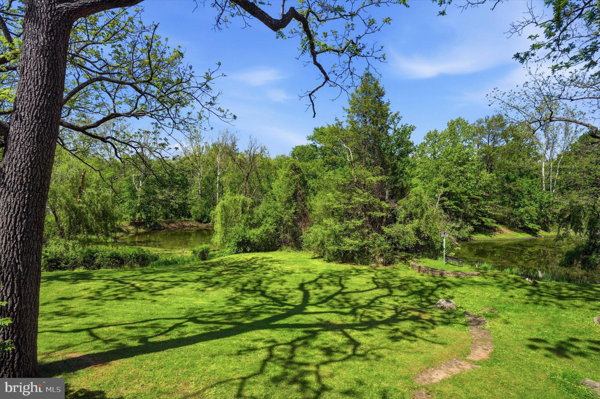 120 Farm Road Phoenixville, PA 19460 - Photo 34 of 57 Serene green oasis by the water.