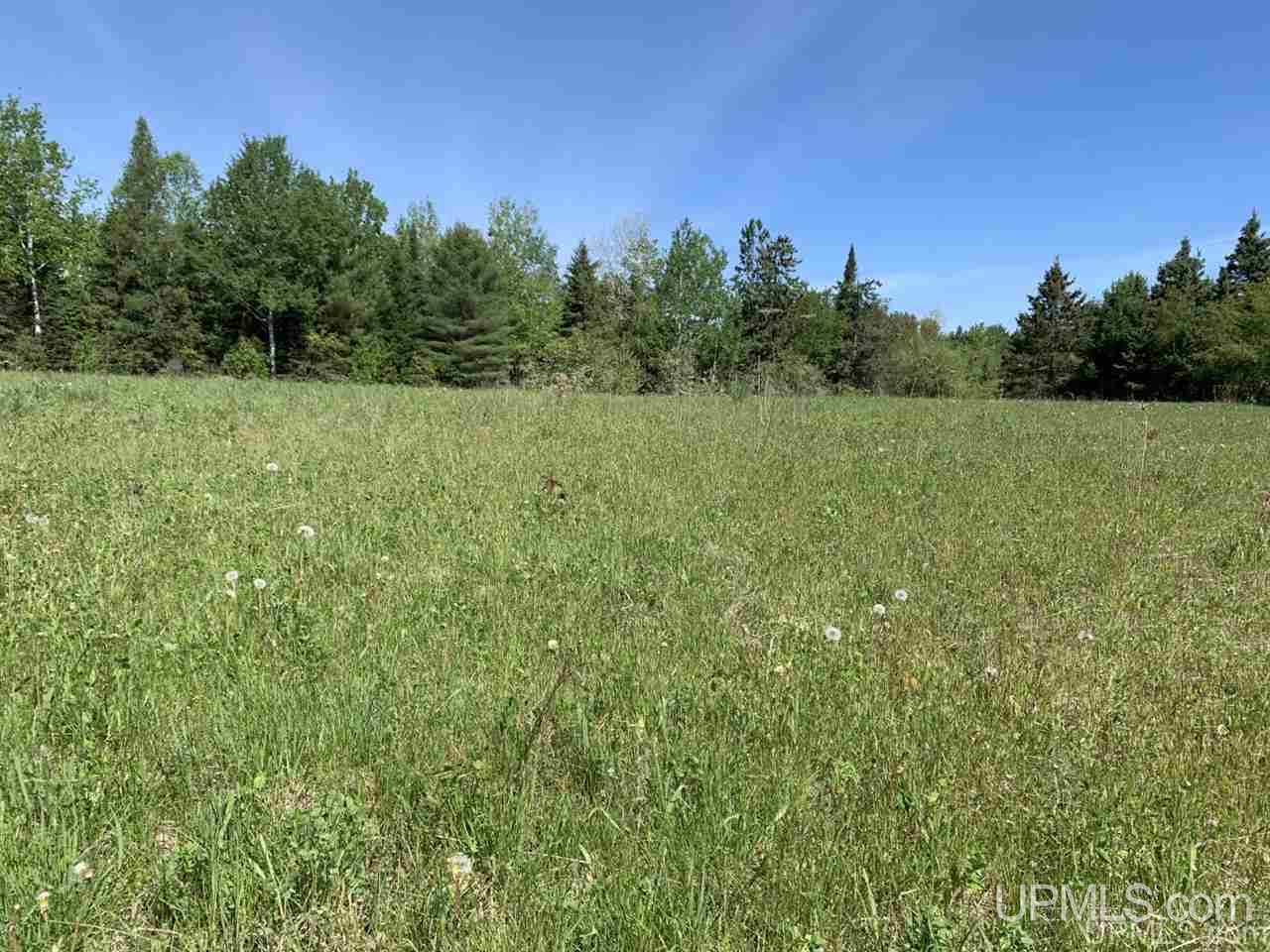 Tbd Sturgeon Road Baraga, MI 49908 - Photo 3 of 9 Gallery Image 3