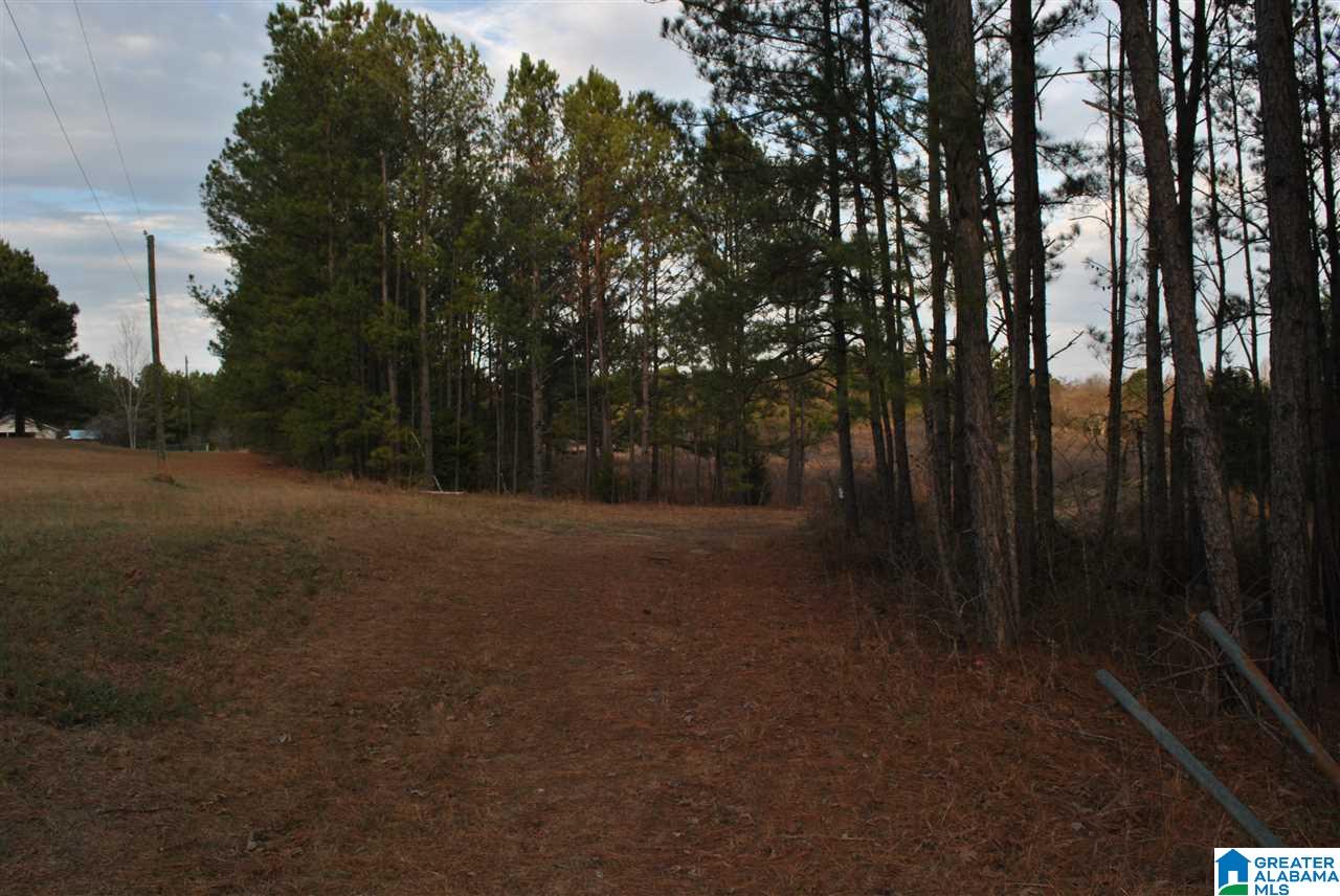 280 Bell Road Nauvoo, AL 35578 - Photo 20 of 23